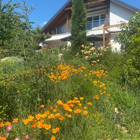 Vakantiehuis Aura Vendeghaz *